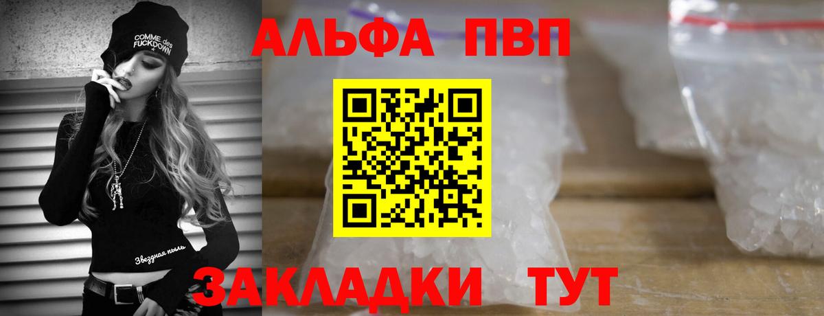 A PVP СК Курчалой