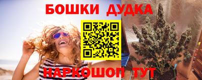 СК Будённовск