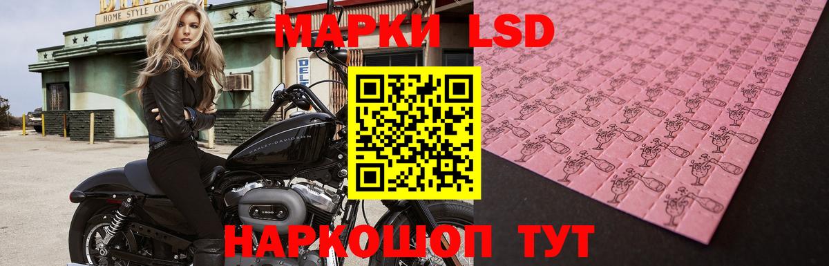 Лсд 25 экстази кислота  Вход с VPN  Курчалой  Лсд 25 экстази кислота 