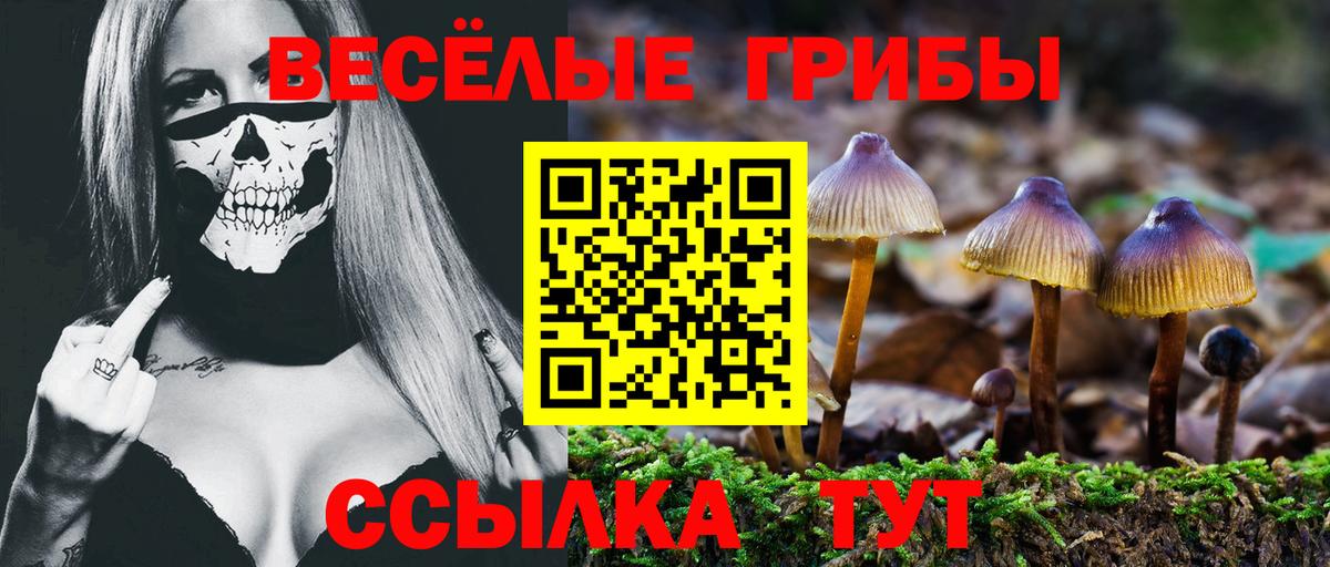 Галлюциногенные грибы Psilocybe  Псилоцибиновые грибы мицелий  Вход с VPN  Курчалой 