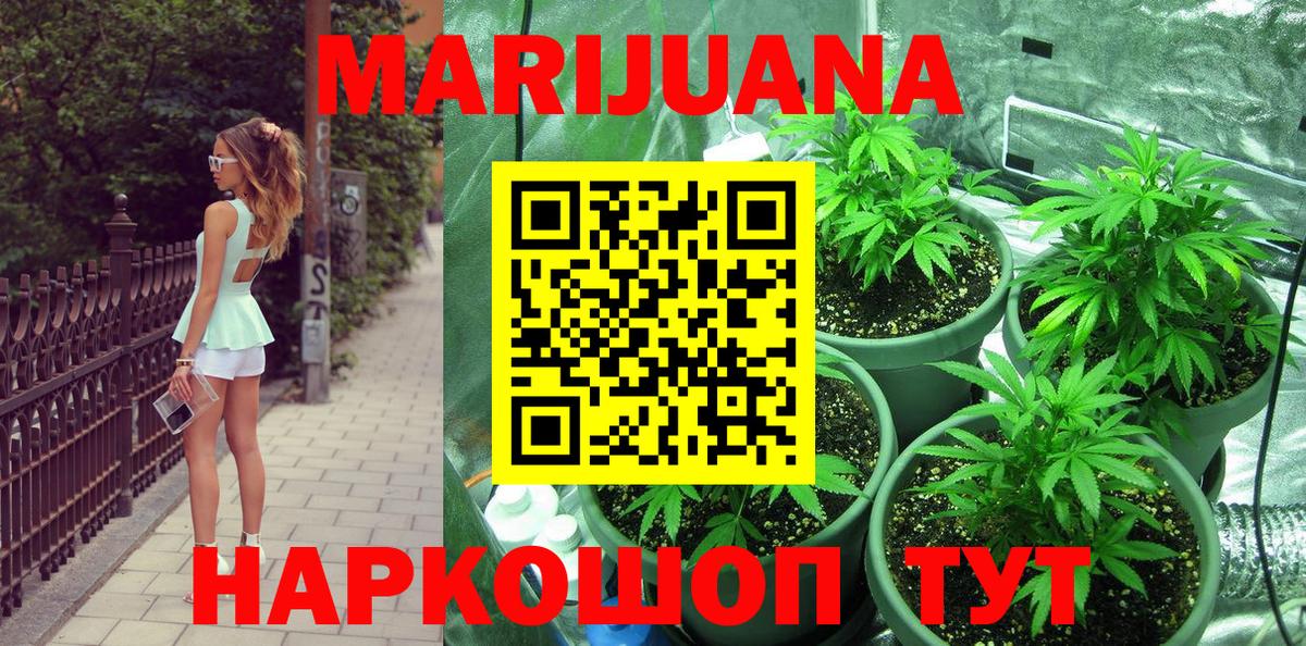 МАРИХУАНА план  Вход с VPN  Канабис марихуана  Курчалой 